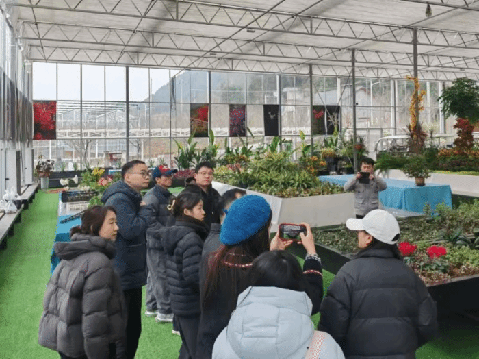 我院学子走进盐亭县：以青年智慧探索农业现...